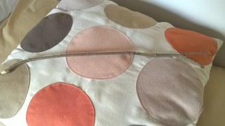 WP_20160201_14_44_24_Pro