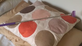 WP_20160201_14_45_41_Pro